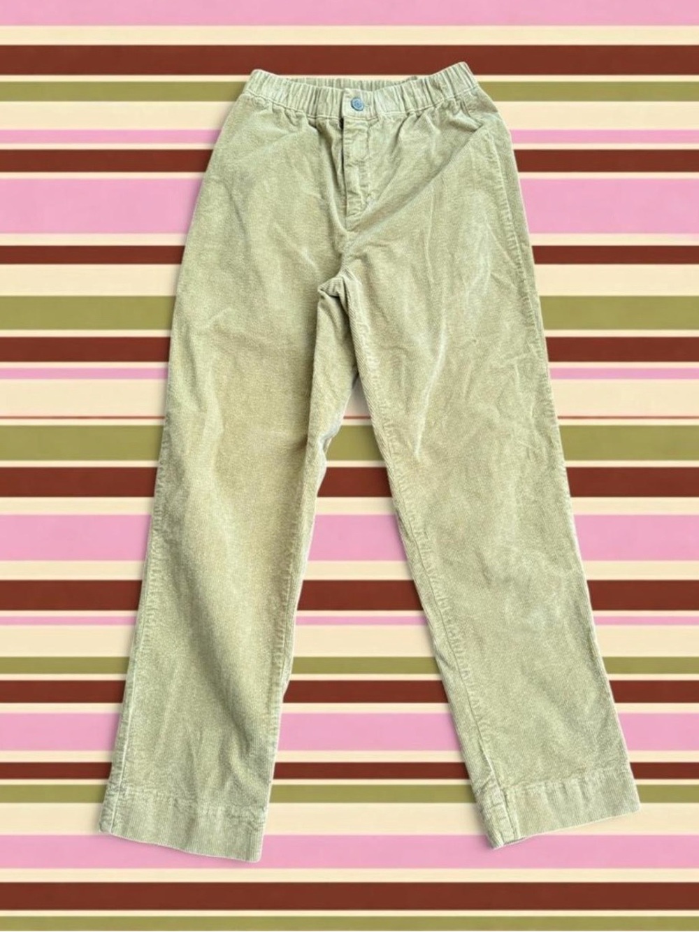 John Galt Brandy Melville Beige Corduroy
Elastic Waist Pants